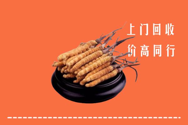高价求购：徐州市回收散虫草