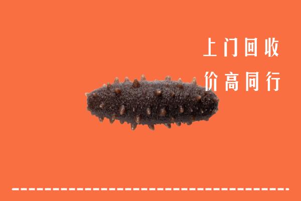 高价求购：徐州市回收海参