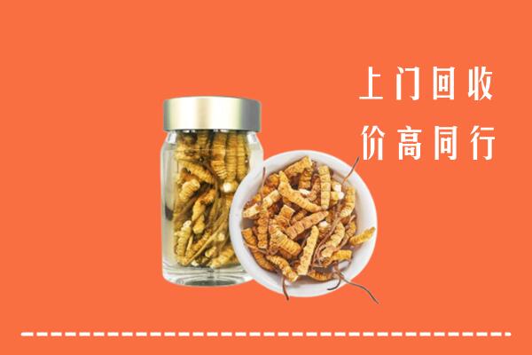 徐州市回收冬虫夏草